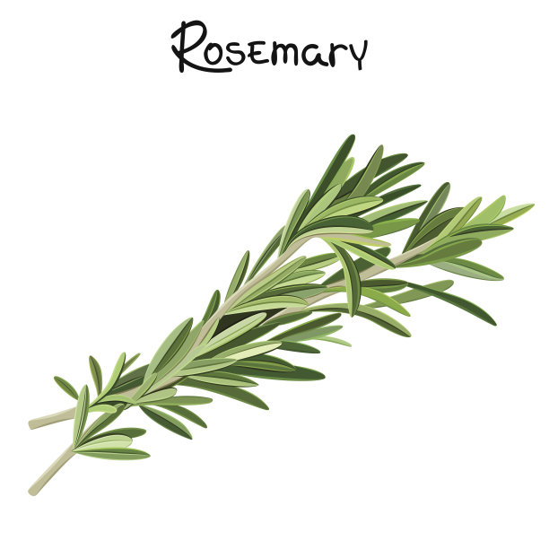 rosemary