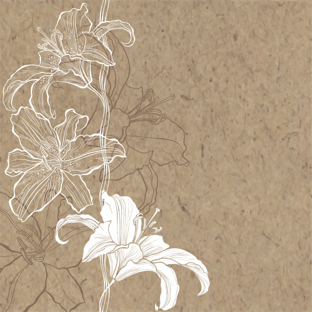 lilium