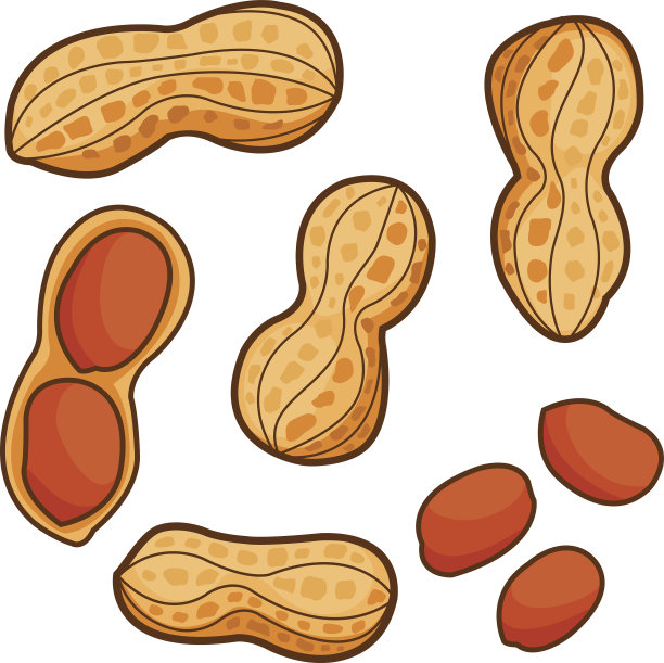 earthnut