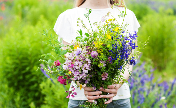 wildflowers