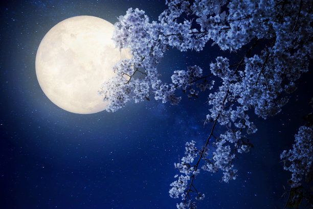 blossoms