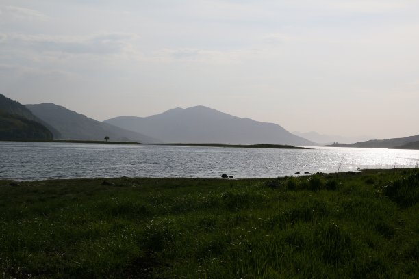 donan