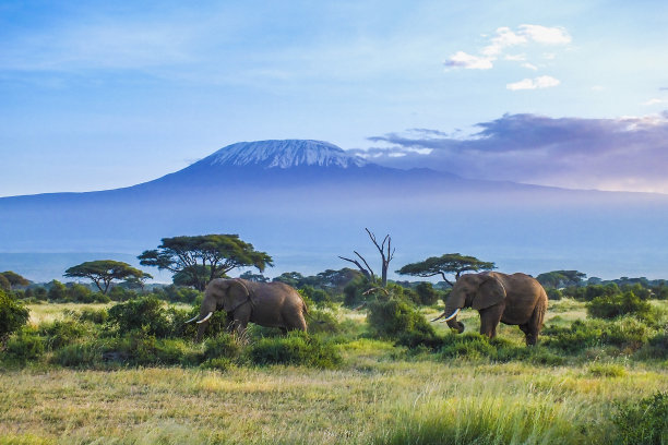 tanzania