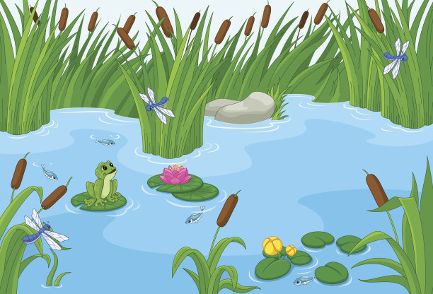 pond