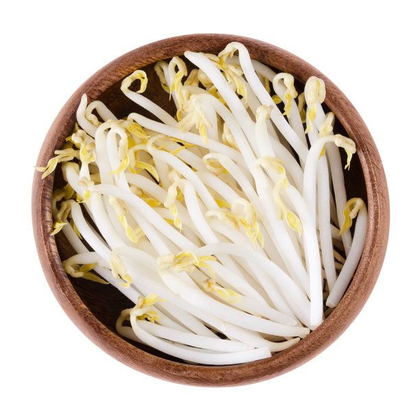 豆芽