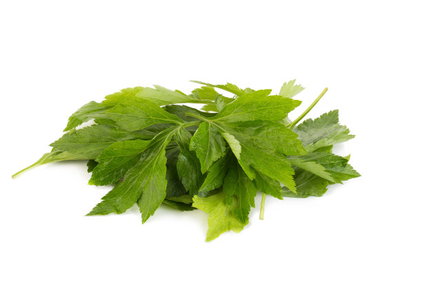 mugwort