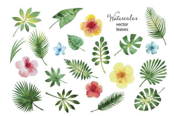 绘画艺术植物绿叶