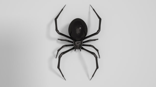 araneae
