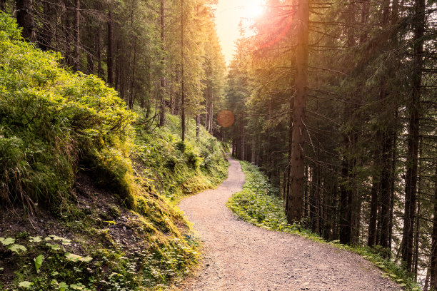 path