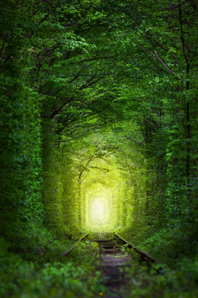 森林隧道