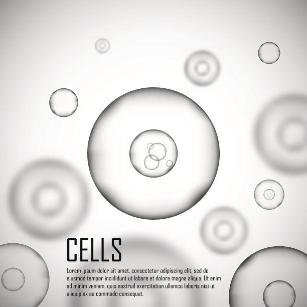 cell