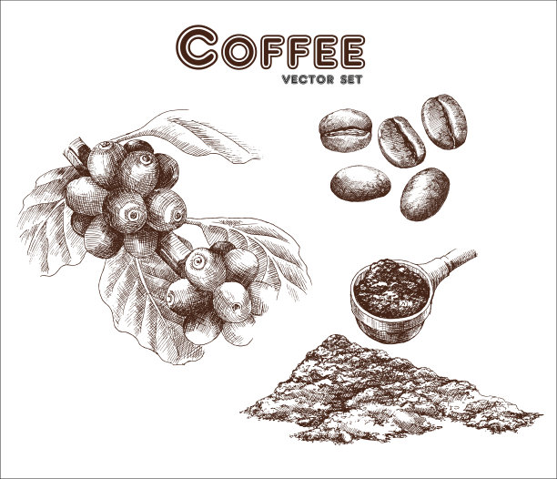 咖啡豆大图