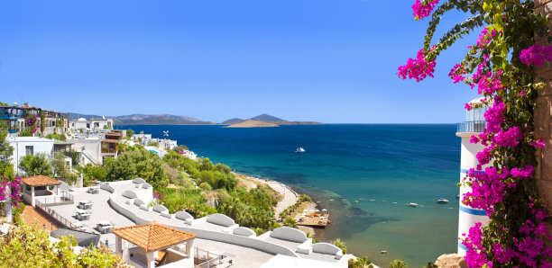 turkey
