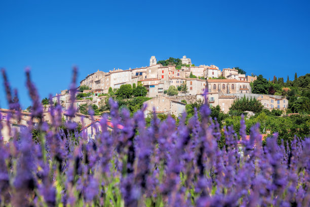 provence