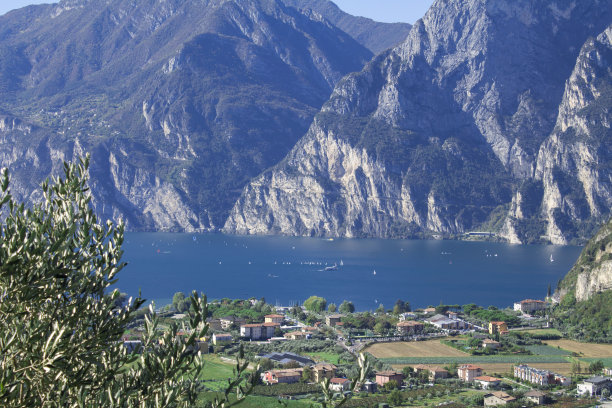 guarda