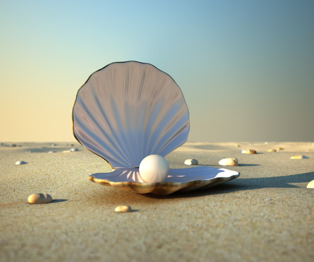 seashell