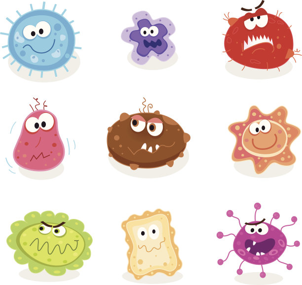 bacteria