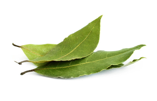 bay