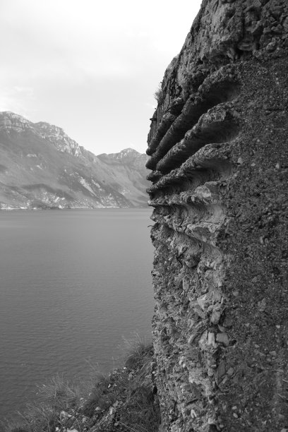 guarda