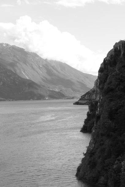 guarda