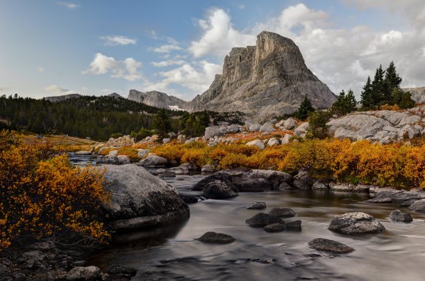 wy