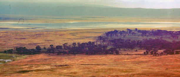 ngorongoro