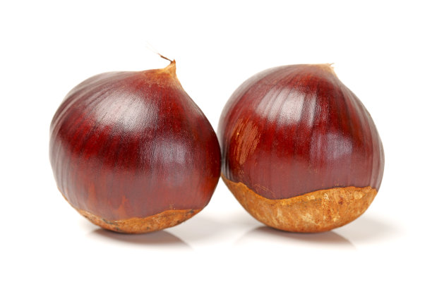 chestnut