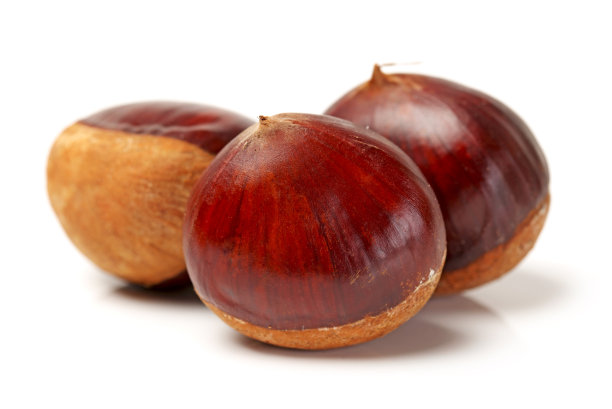 chestnut