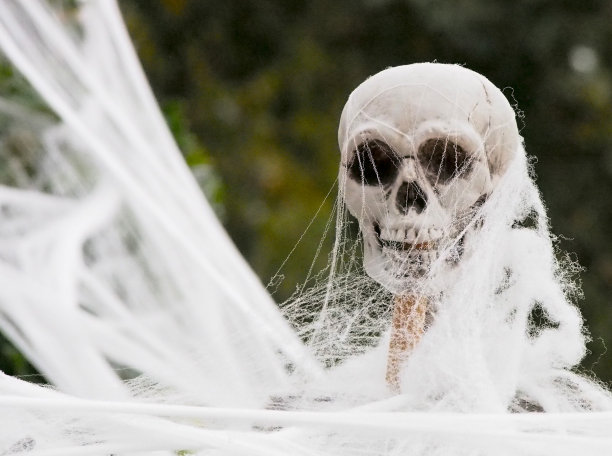 web