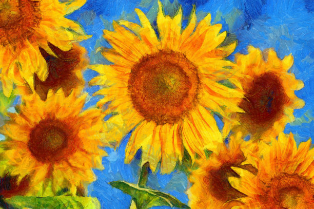 vincent