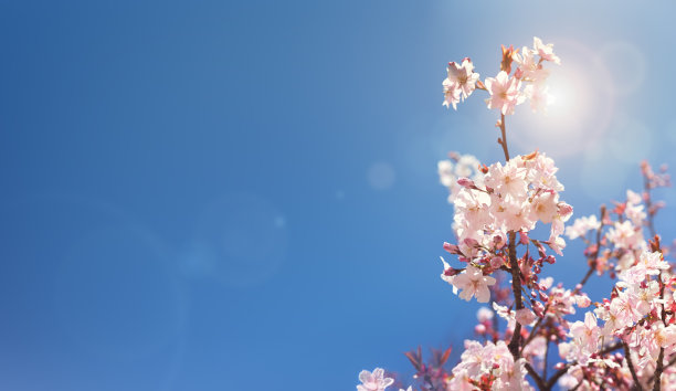 springtime