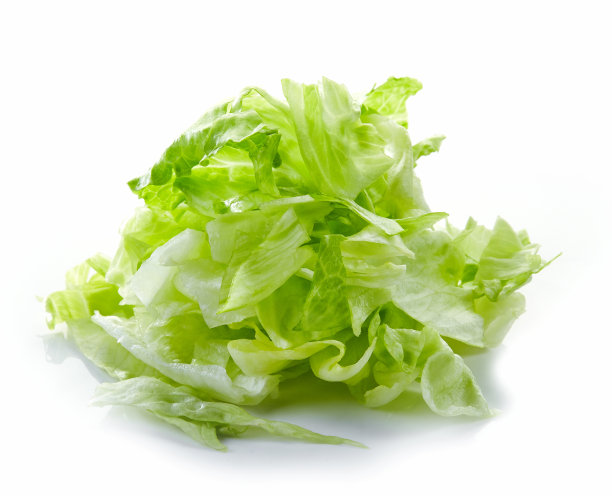 lactuca