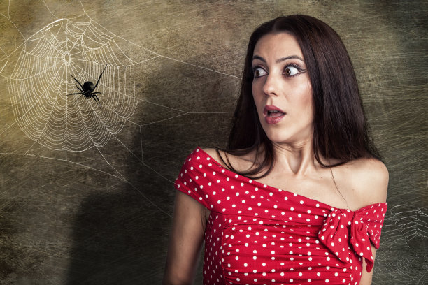araneae