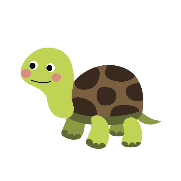 turtle