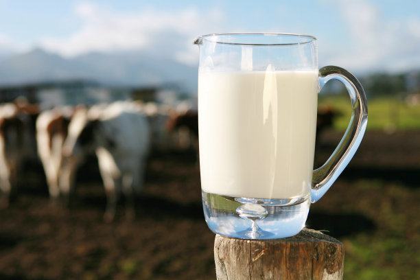 dairy