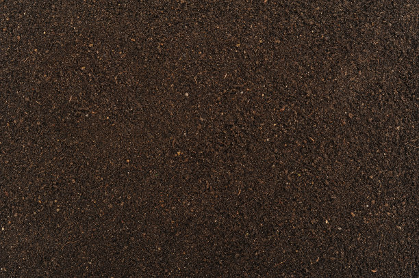 ground