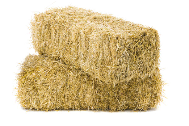 hay