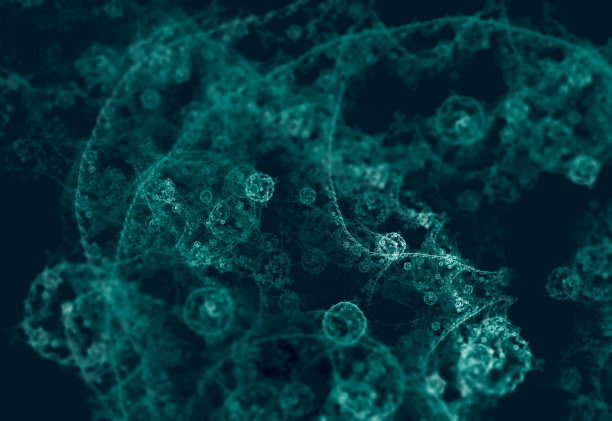 cells
