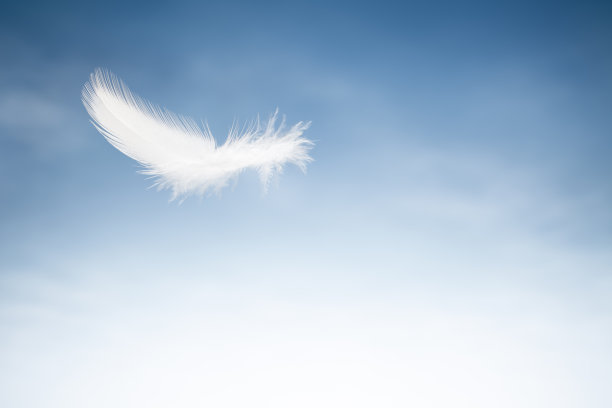 feather