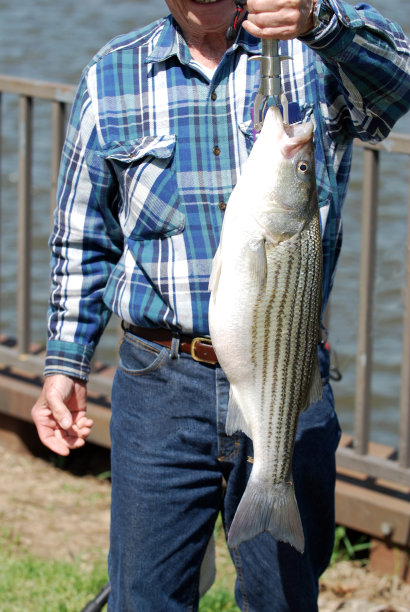 rockfish