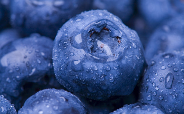 blueberries