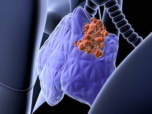 thymus