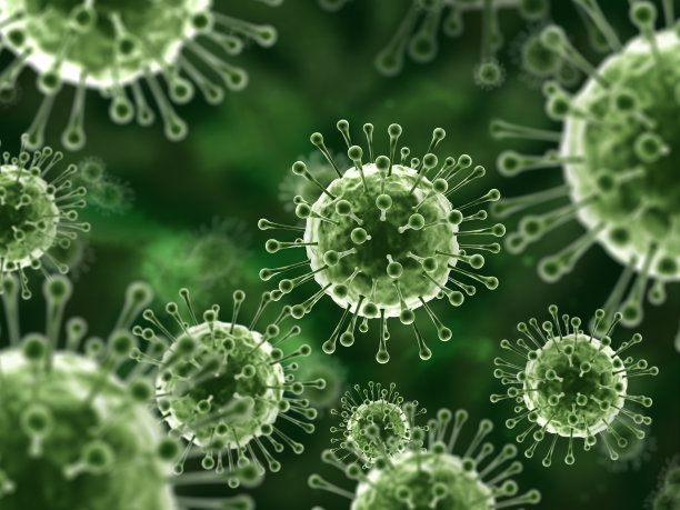 bacteria