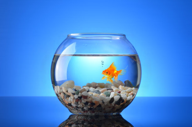 aquarium