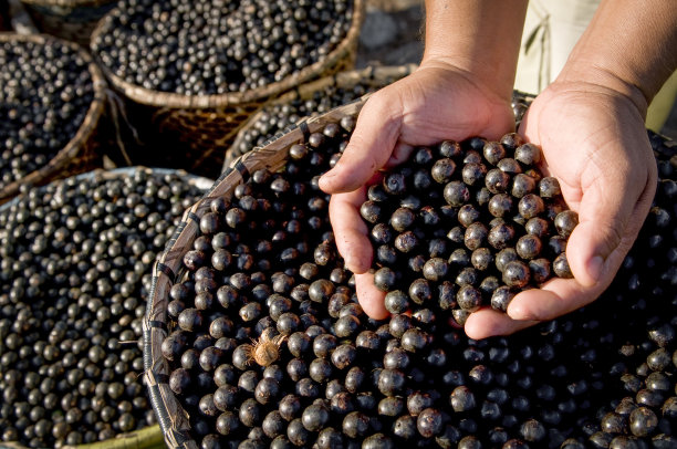 acai