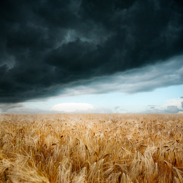 foreboding