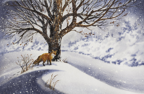 fox