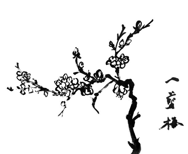 梅花素材