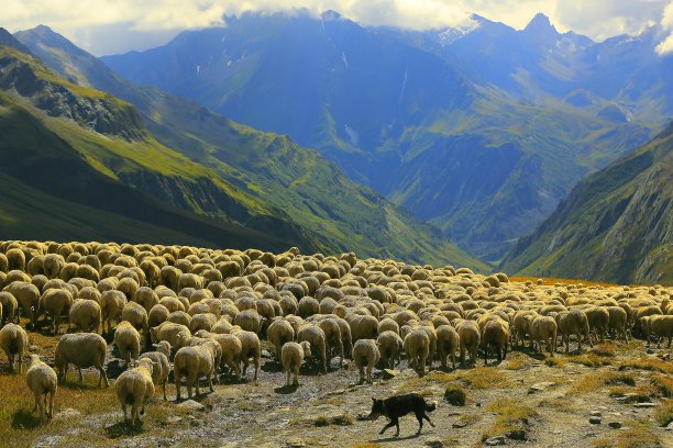 高山草场