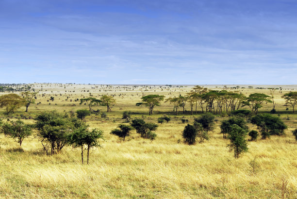ngorongoro